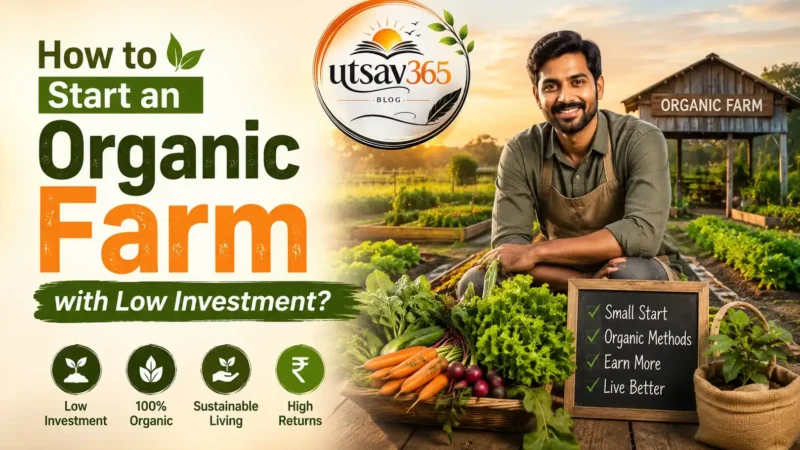 How to Start an Organic Farm with Low Investment?